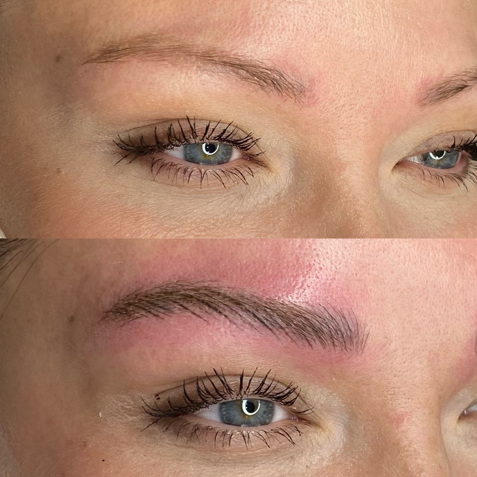 Nano Brows Signature