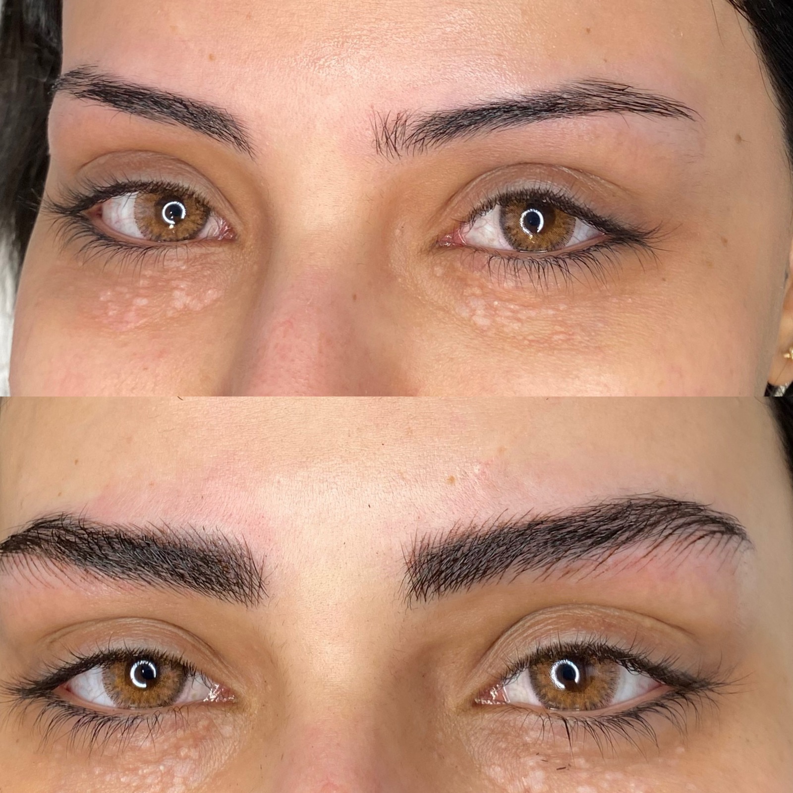 Nano Brows Signature