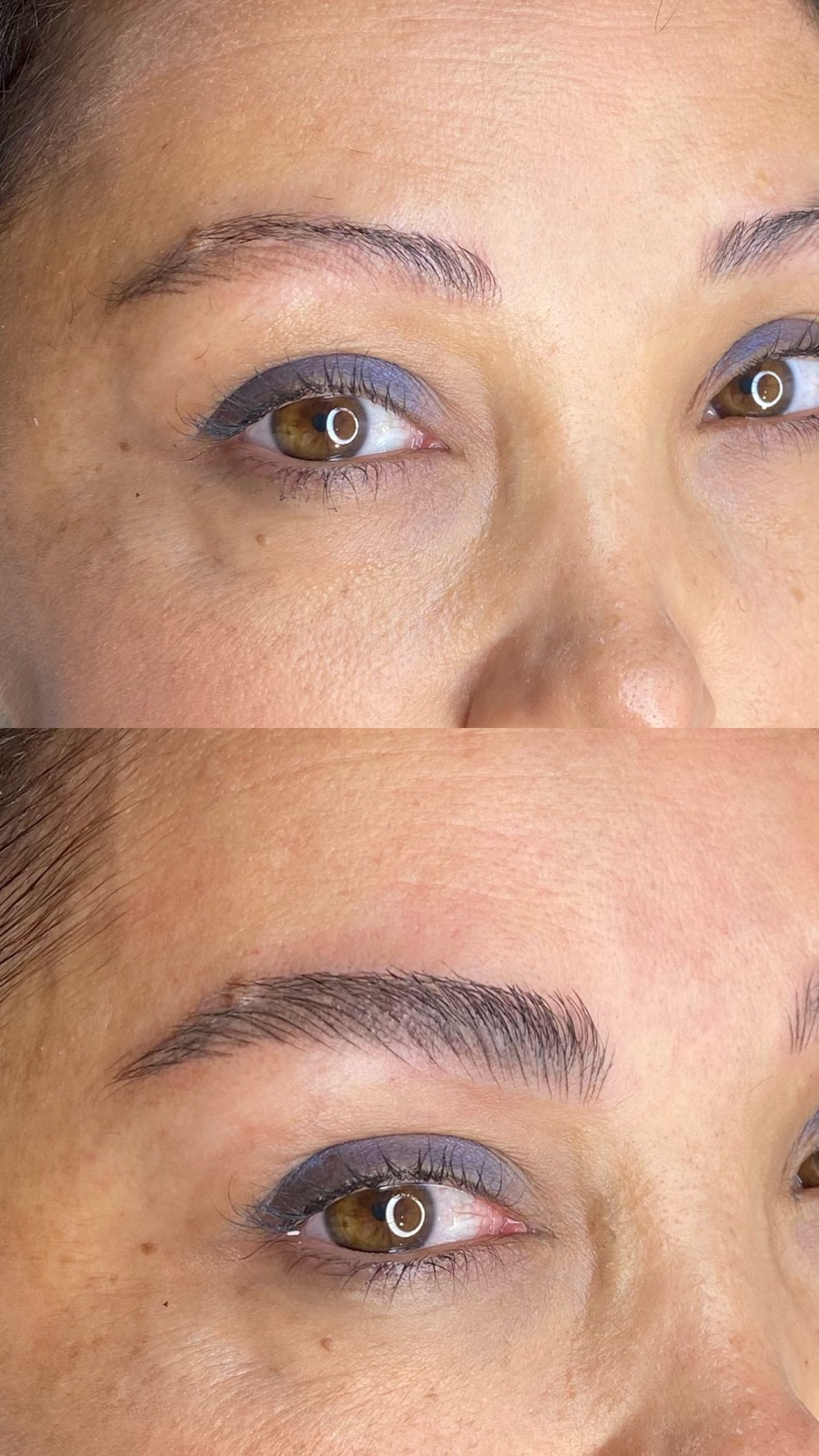 Nano Brows Signature